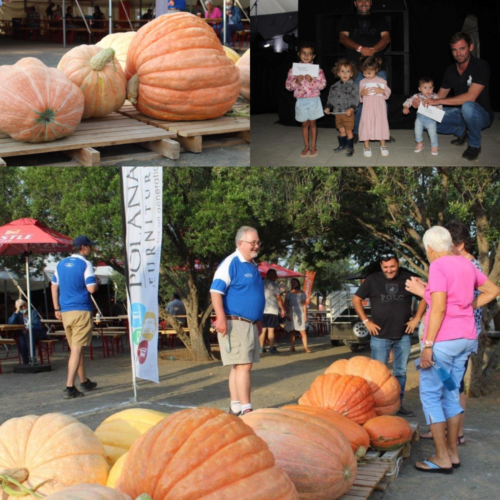 Opening en Optog collage 2022